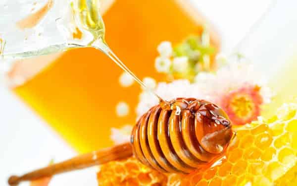 تصویر 3 از قیمت عمده فروشی عسل شهد طلایی